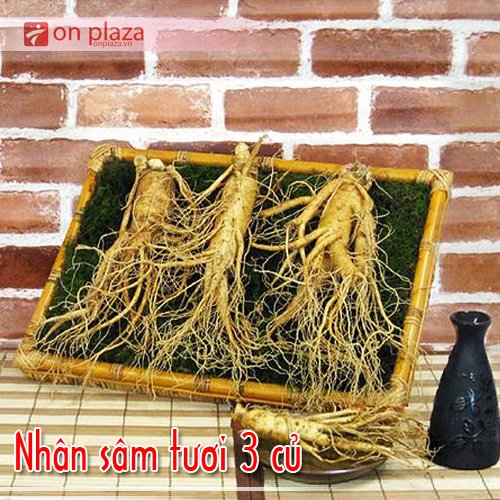 Nhân sâm tươi hàn quốc loại 3 củ