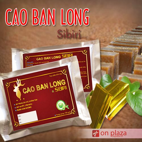 Cao-ban-long-sibiri-500x500
