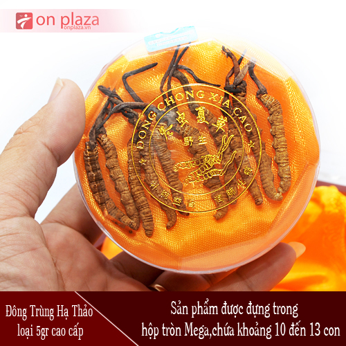 dong-trung-ha-thao-cao-cap-500-1