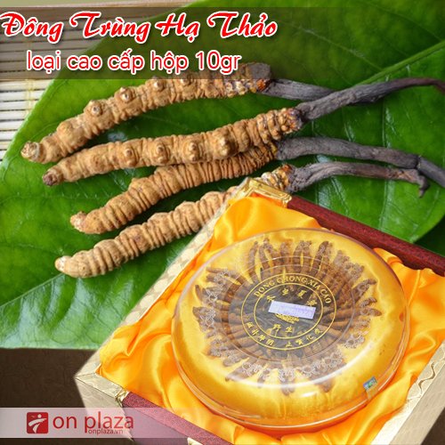 dong-trung-ha-thao-cao-cap-loai-10g-500