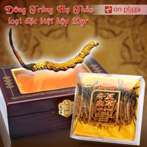 dong-trung-ha-thao-hop-20g-dac-biet-500