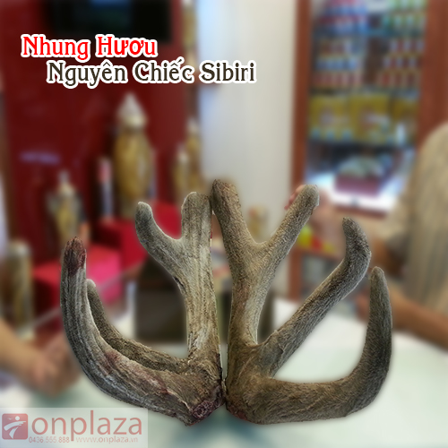 nhung-huou-say-kho-nguyen-chiec